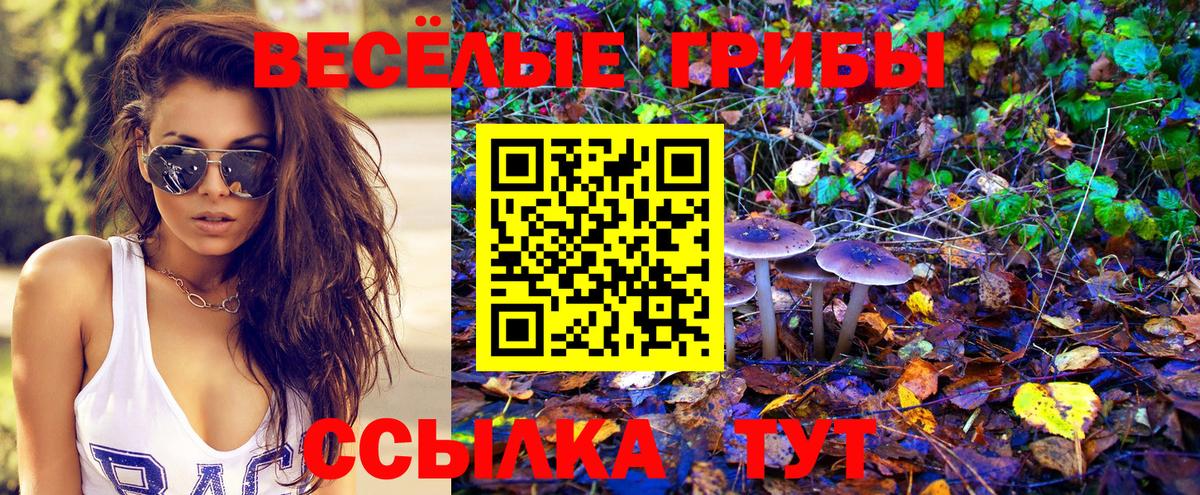 Галлюциногенные грибы Cubensis  Вход с VPN  Егорьевск 